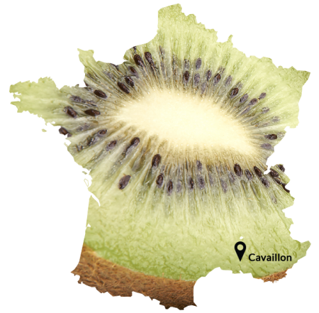 carte-france-01 carte-france-01