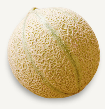 melon entier