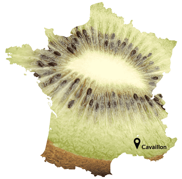 Carte france